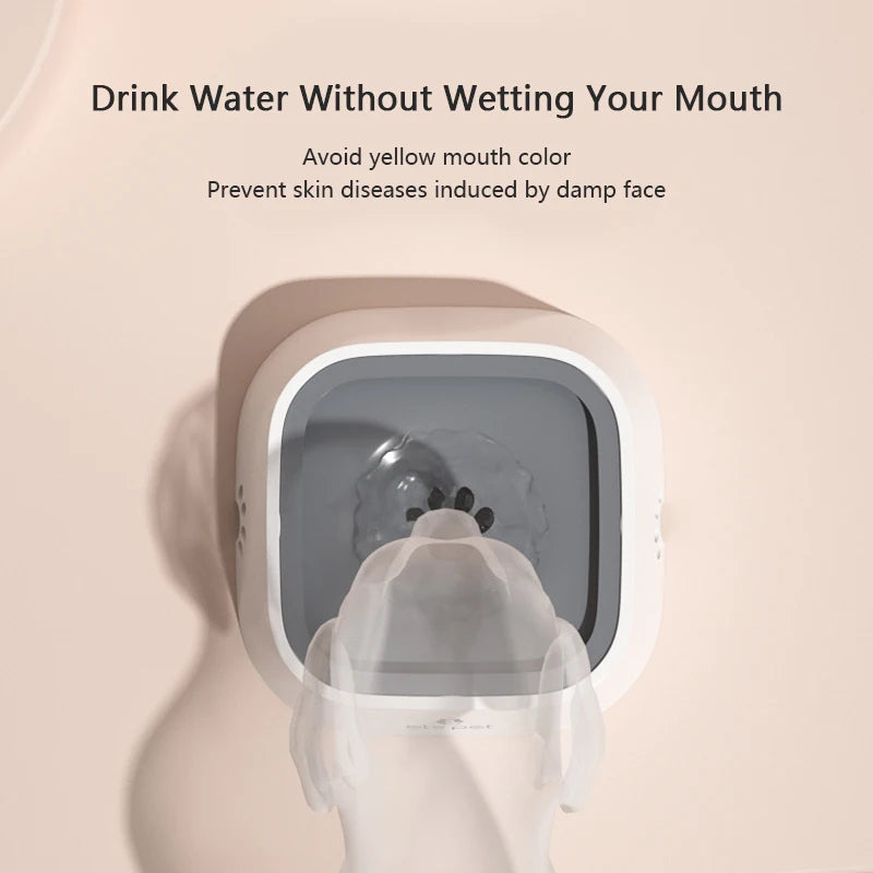 Dog Drinking Water Bowl with Floating Design 